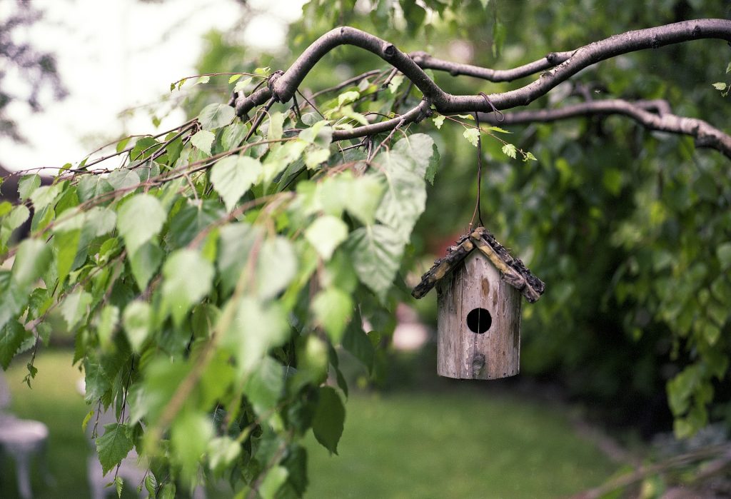 Une cabane ou une mangeoire à oiseaux est toujours bienvenue dans un jardin