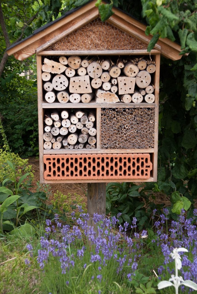 Protégez les insectes du jardin avec un hôtel rien que pour eux