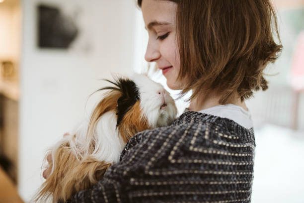 Fille qui tient un lapin dans ses bras