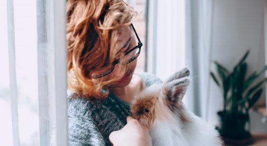 Une femme portant dans ses bras un lapin de compagnie tête de lion