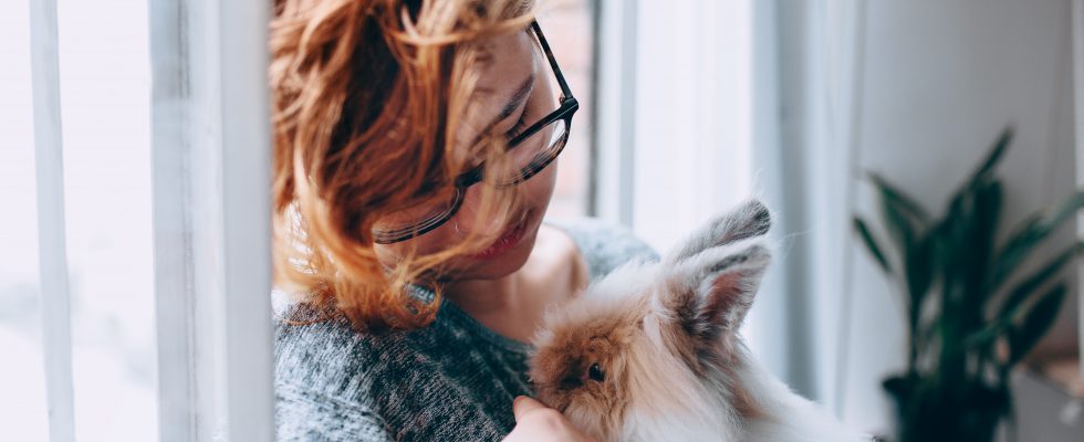 Une femme portant dans ses bras un lapin de compagnie tête de lion