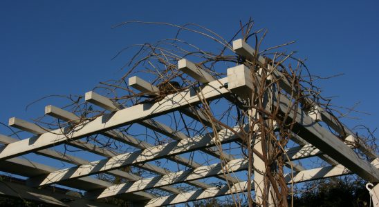 toile pergola